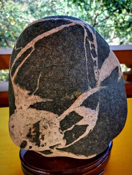 阜平縣第二屆雪浪石文化展 石韻天成，文蘊流傳